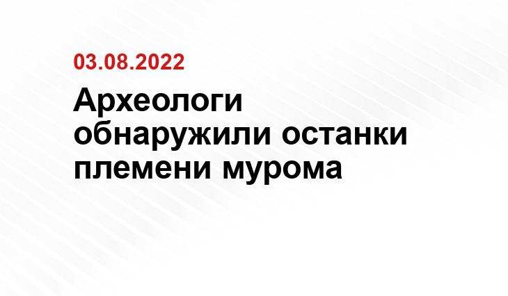 https://i1.vgoroden.ru/1hhm8gs1m0b4d_1ij04wq_w-1200/zahoroneniya-ih-veka-obnaruzhili-arheologi-pod-vyksoy-fotografiya-4.jpeg