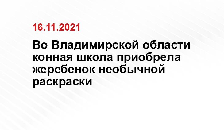 https://komiinform.ru/news/215862/