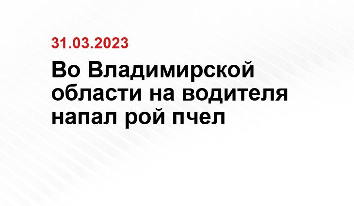 https://2sotki.ru/pcelinyj-ulej.html