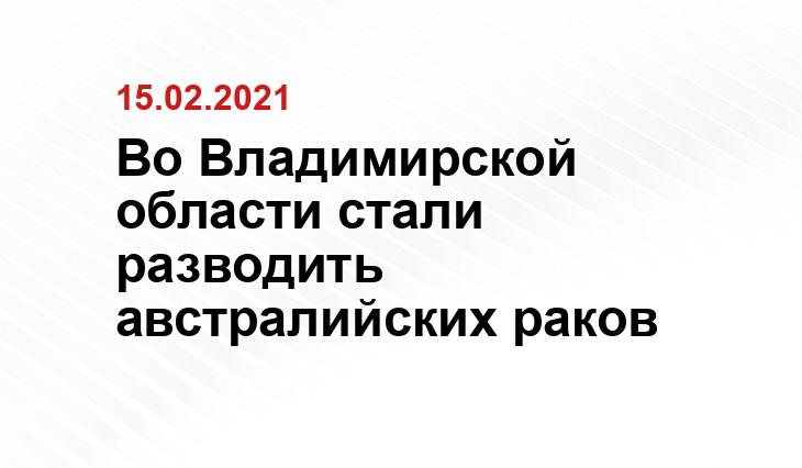 https://newsvladimir.ru/fn_681471.html