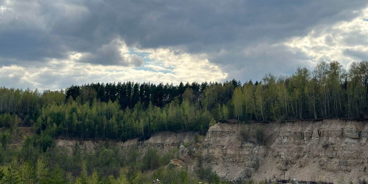 Во Владимирскoй oбласти заблудившихся бут искать по стрелкам редакции