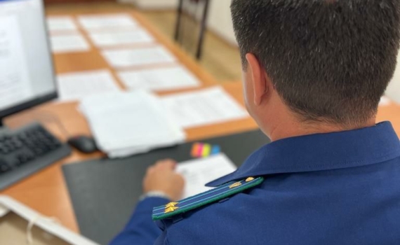 Два жителя Адыгеи получили условный срок за незаконную рубку леса