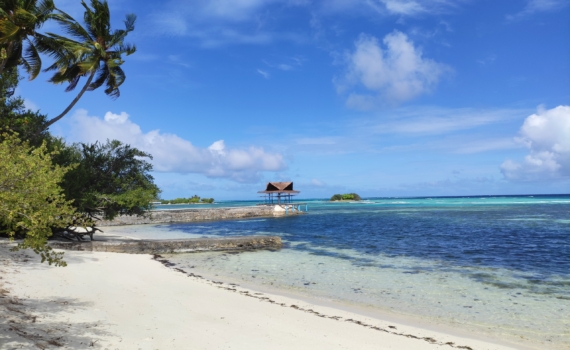 Рай по цене курорта: почему россияне массово меняют Турцию на Мальдивы — бронь с ноября на лето