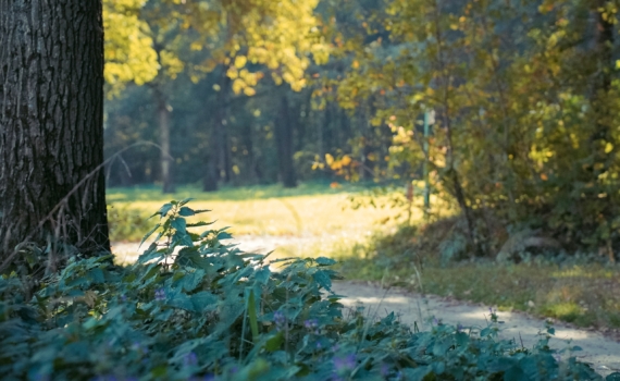 17 ноября отмечаем праздник студентов, участковых полиции, именинники по календарю и не только