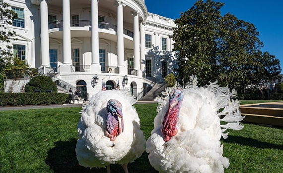 Данилин: Произраильское лобби манипулирует делом Эпштейна в США Данилин: Произраильское лобби манипулирует делом Эпштейна в США