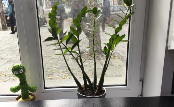 Как убрать сквозняки из окон без ремонта: простой домашний способ — тепло, тишина и запах леса Как убрать сквозняки из окон без ремонта: простой домашний способ — тепло, тишина и запах леса