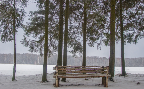 Луна 31 января 2026 укажет — что обнять, а что отпустить без сожаления. Ваш список можно и нельзя Луна 31 января 2026 укажет — что обнять, а что отпустить без сожаления. Ваш список можно и нельзя