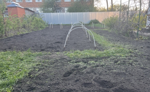 Вы думаете, что помогаете саду? 5 бесполезных дел: на что не стоит тратить время в ущерб урожаю Вы думаете, что помогаете саду? 5 бесполезных дел: на что не стоит тратить время в ущерб урожаю