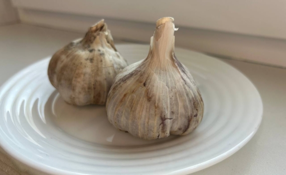 Крупный чеснок без химии: неожиданный способ выращивания с обычными спичками Крупный чеснок без химии: неожиданный способ выращивания с обычными спичками